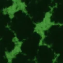 The Acid Wash Hoodie – Unisex (300 GSM) - Bottle Green